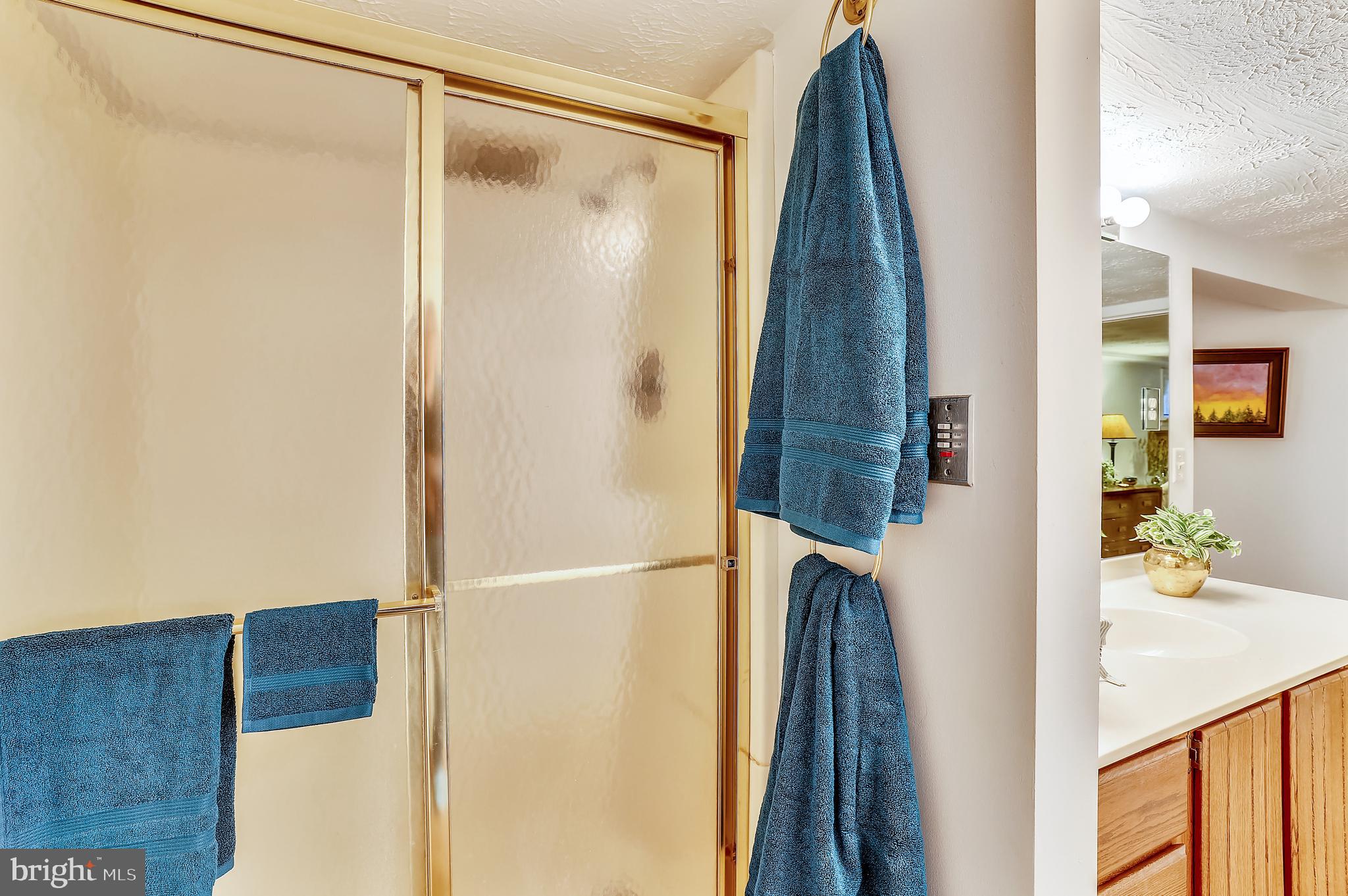1895 German Chapel Road Prince Frederick, MD 20678 - Photo 42 of 90 Shower in Primary Bath