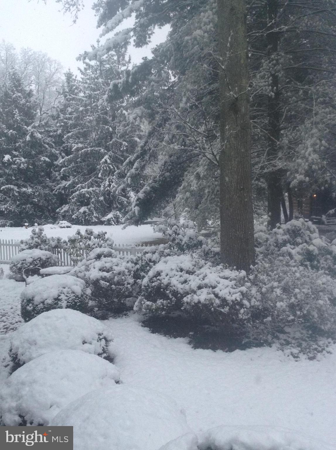 1895 German Chapel Road Prince Frederick, MD 20678 - Photo 88 of 90 Wintertime! Snows are beautiful!