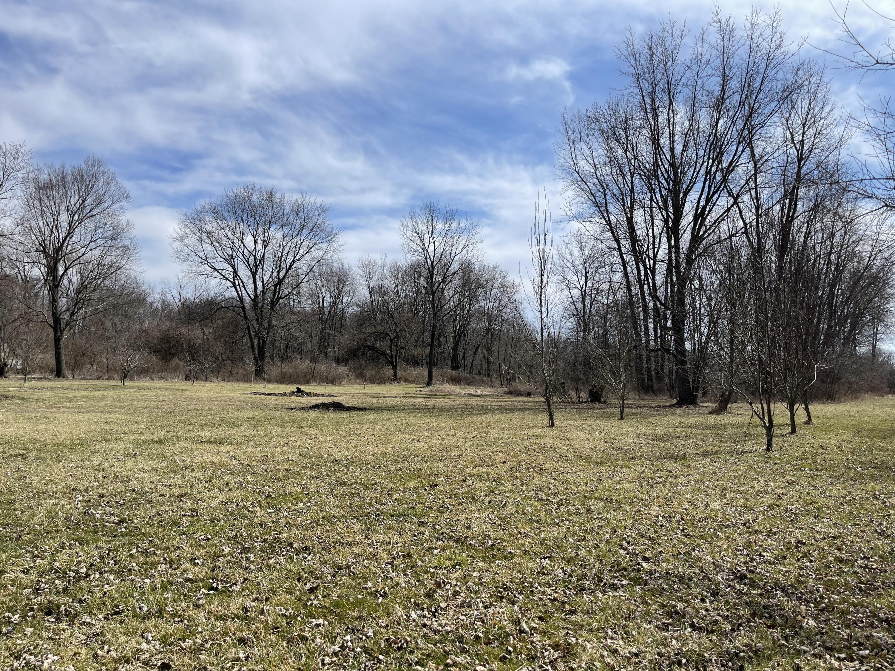 4769 Selma Pike Springfield, OH 45502 - Photo 65 of 93