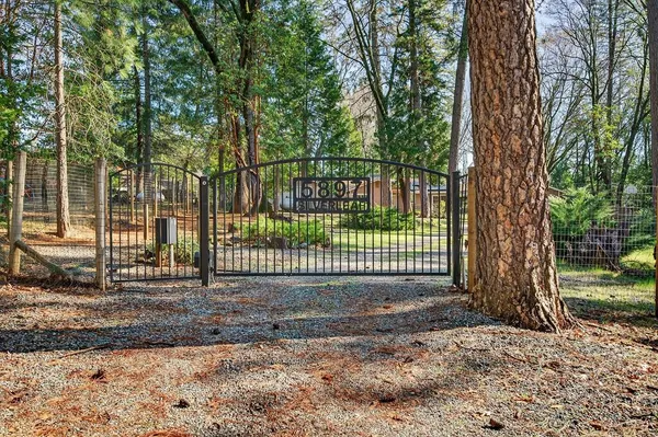 a view of a backyard with large trees and wooden fence