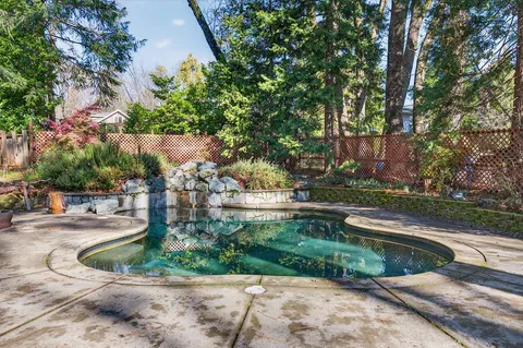 a view of a yard with plants