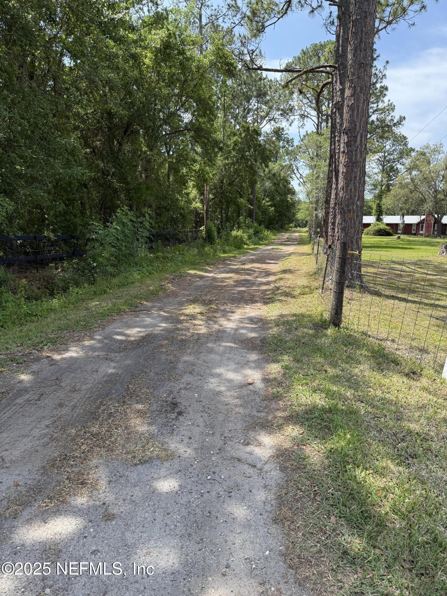 3255 County Road 208 St. Augustine, FL 32092 - Photo 5 of 22 a view of outdoor space with trees