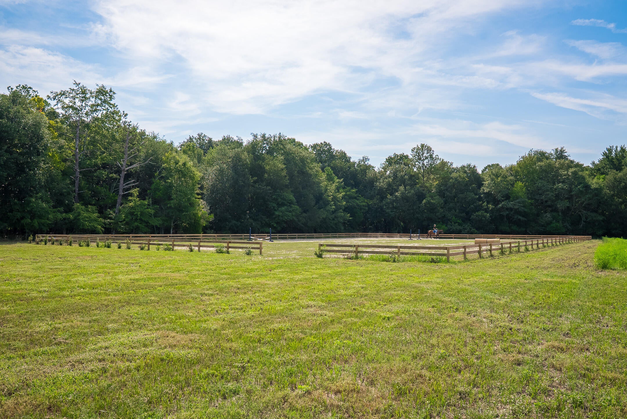 2122 New Holland Road Wagener, SC 29164 - Photo 27 of 48 Gallery Image 27