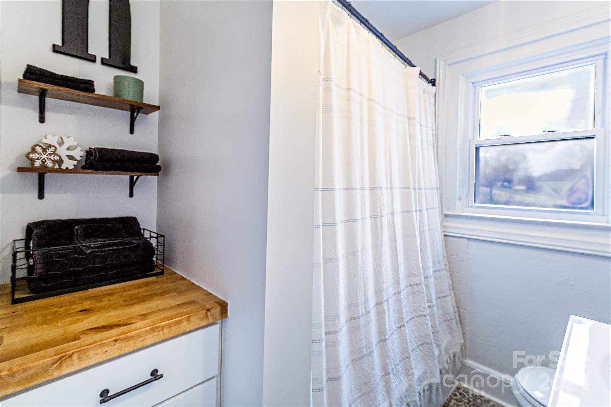 362 Osborne Road Brevard, NC 28712 - Photo 17 of 44 Gallery Image 17