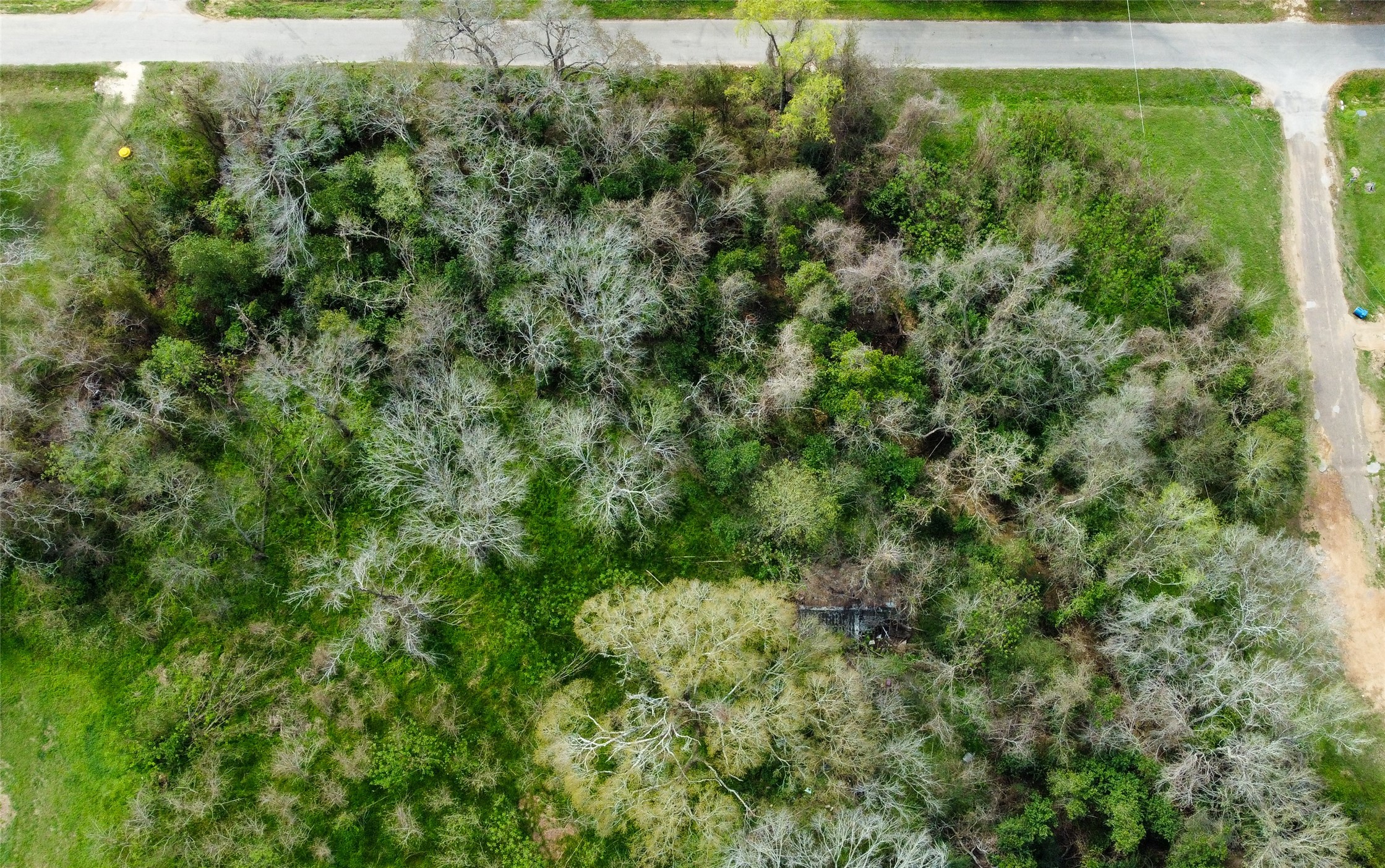 0 17th Street Hempstead, TX 77445 - Photo 1 of 6 a view of a forest with a houses