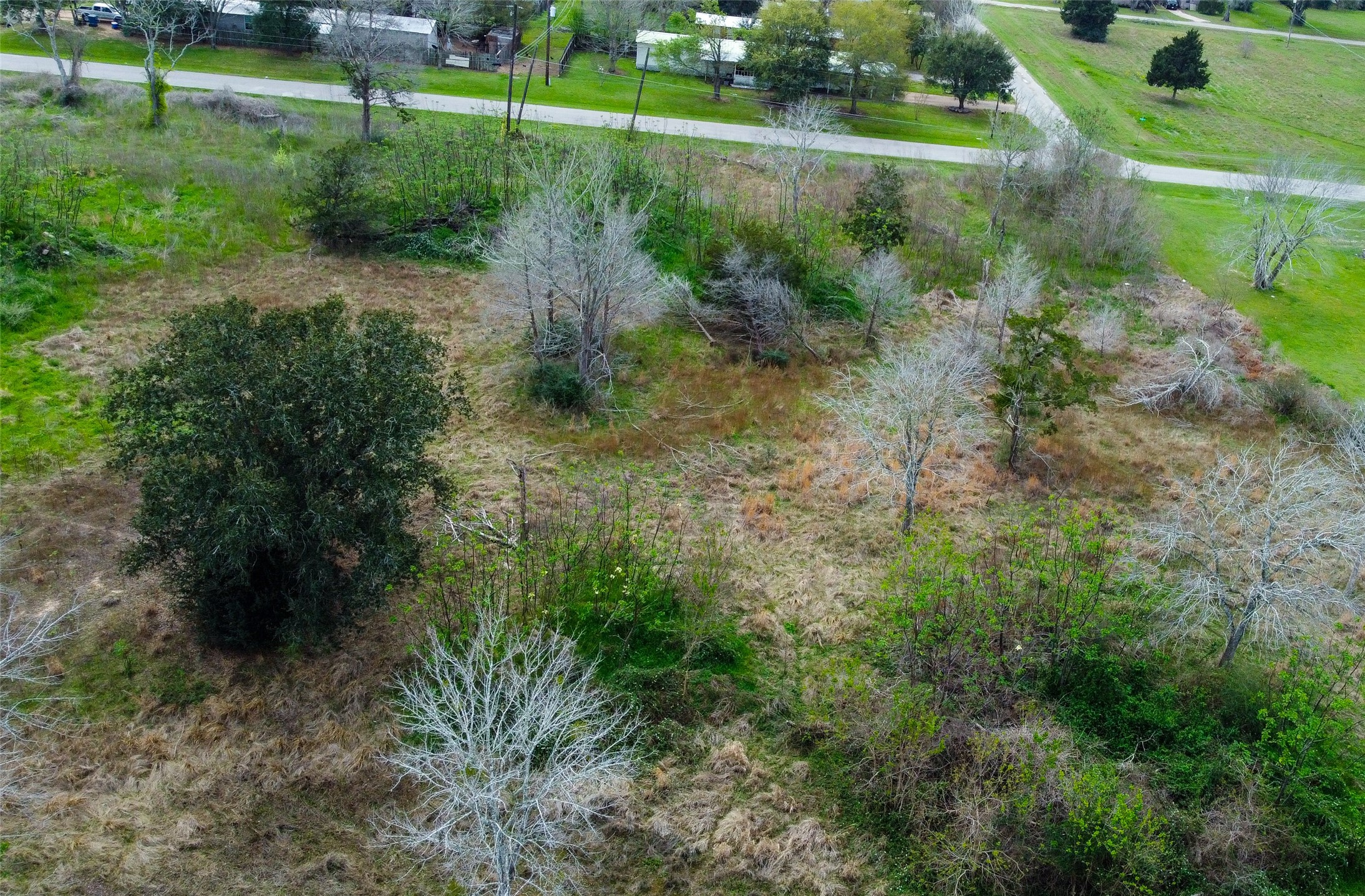 0 17th Street Hempstead, TX 77445 - Photo 2 of 6 a view of a park that has a bunch of plants and trees