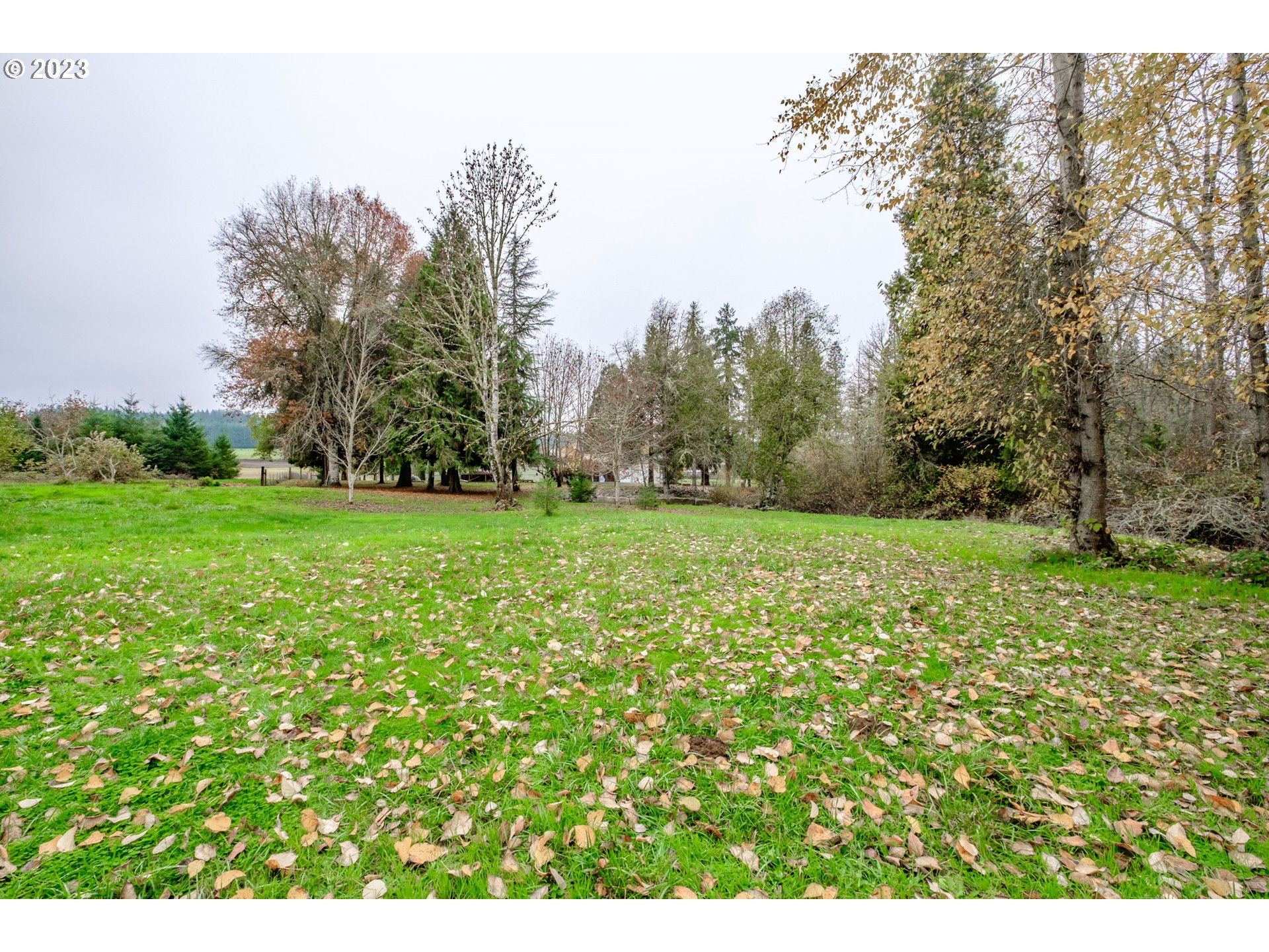 30115 Berlin Road Lebanon, OR 97355 - Photo 33 of 48 a view of a grassy field with trees in the background