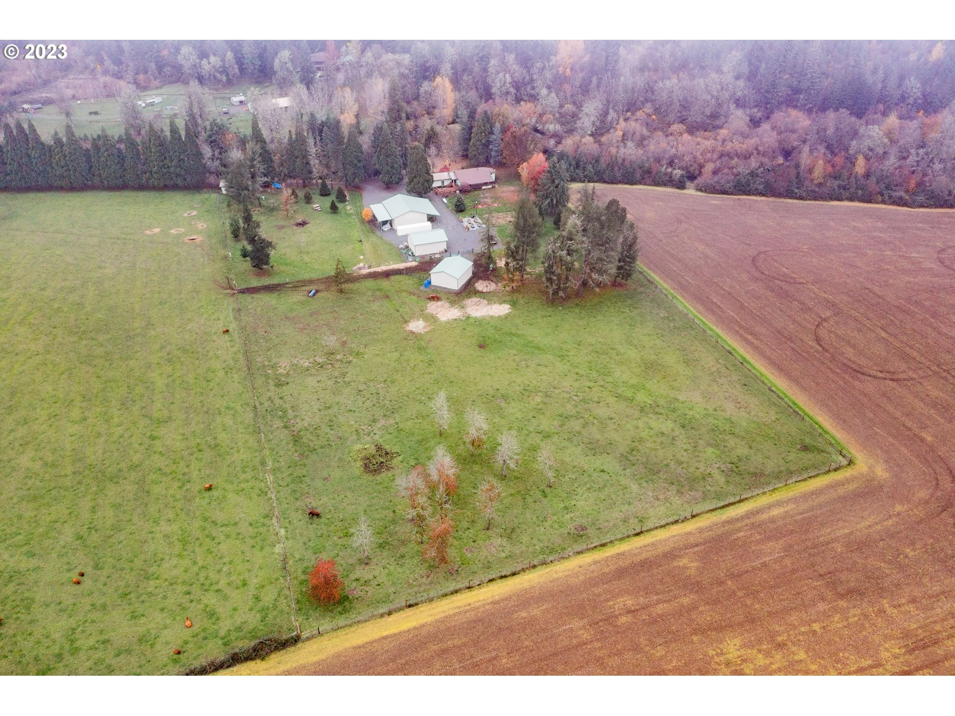 30115 Berlin Road Lebanon, OR 97355 - Photo 4 of 48 a view of a outdoor space