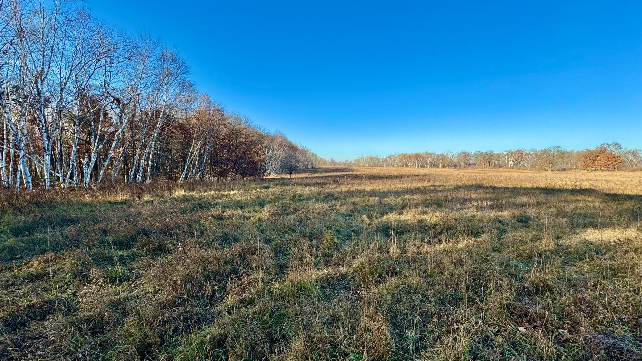 26-xxx 175th Avenue Fort Ripley, MN 56449 - Photo 6 of 46