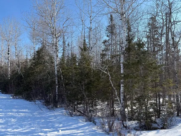 $149,000 | 12 Two Harbors, Two Harbors, MN 55616