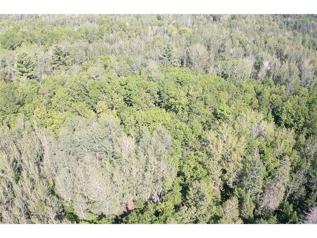 12 Two Harbors Two Harbors, MN 55616 - Photo 27 of 29