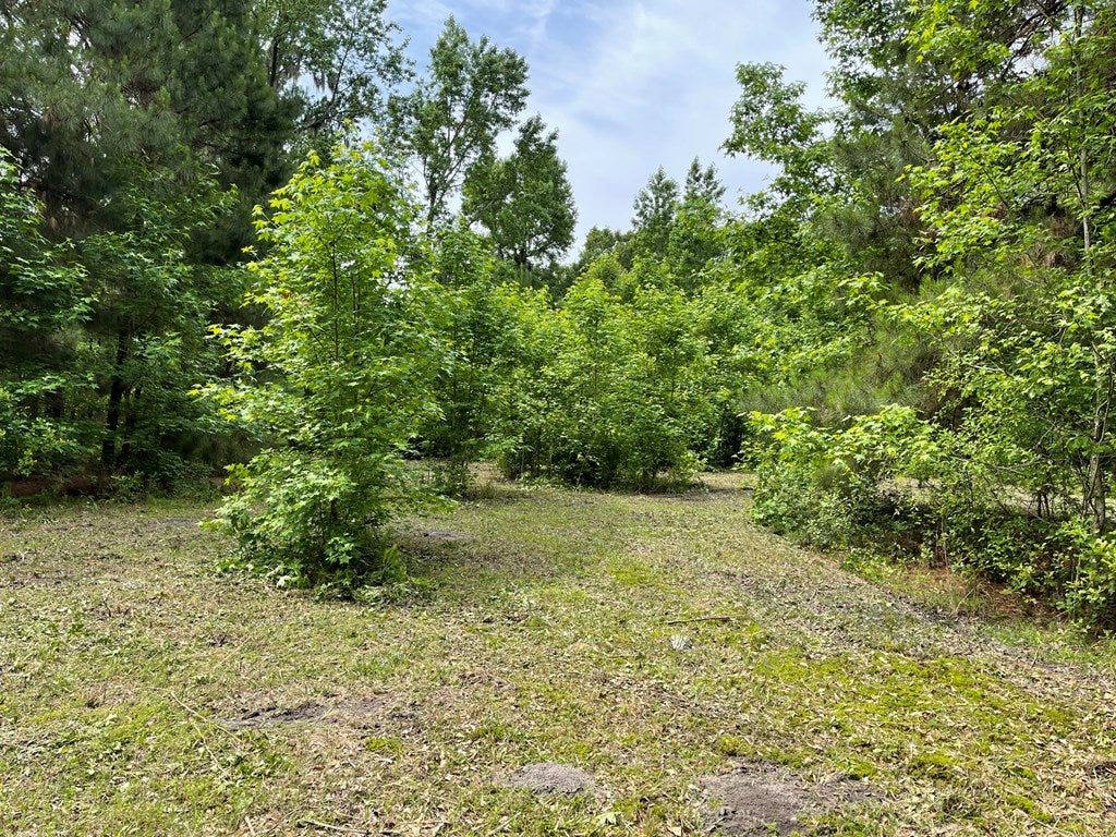 1178 Luke Road Ray City, GA 31645 - Photo 3 of 33 Gallery Image 3