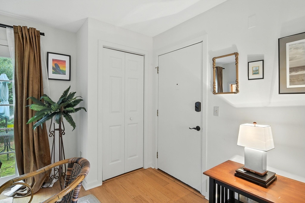 5 Amity Place, Unit 5 Amherst, MA 01002 - Photo 3 of 39 a view of a livingroom with furniture and a potted plant