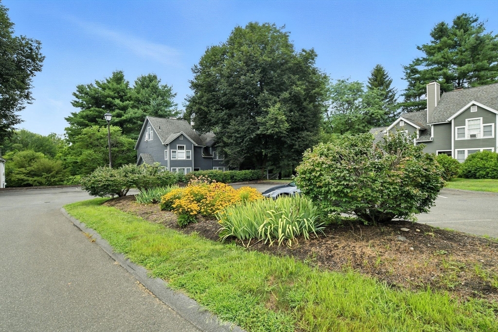 5 Amity Place, Unit 5 Amherst, MA 01002 - Photo 31 of 39 a view of a house with a yard and street