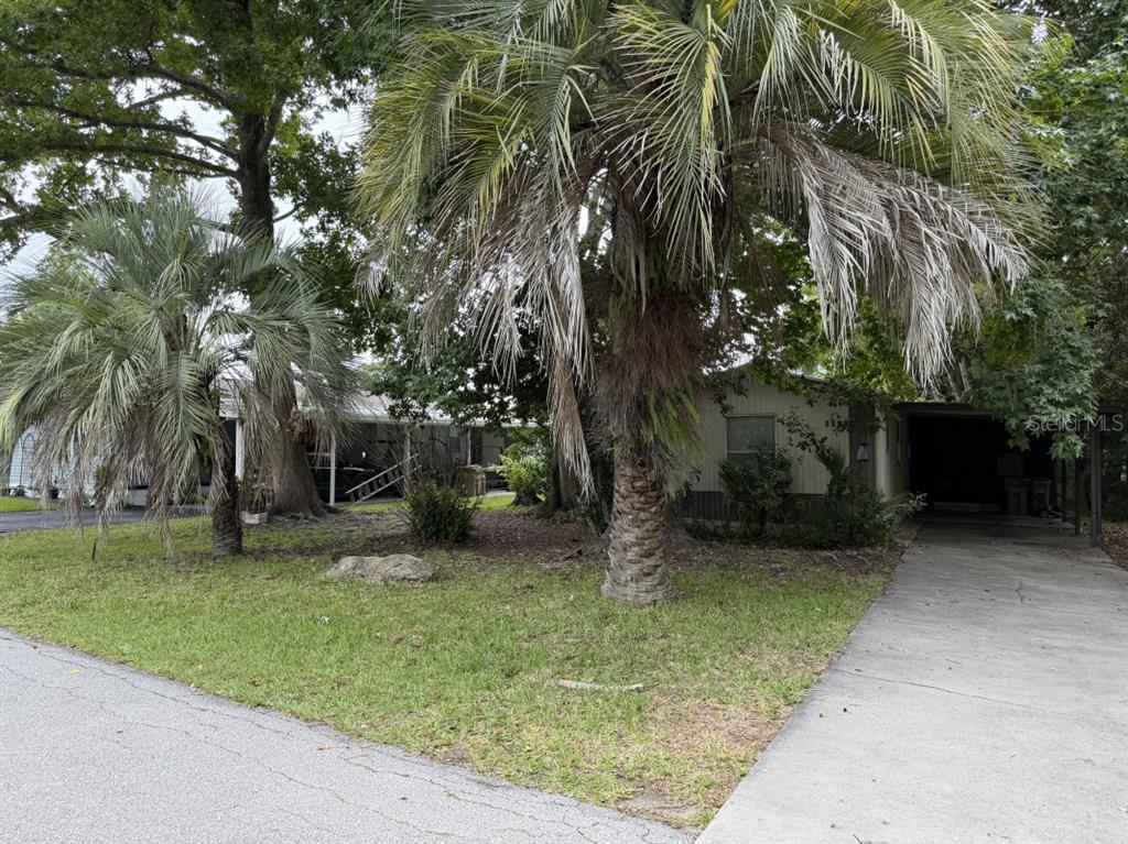 2418 Dora Pines Road Mount Dora, FL 32757 - Photo 1 of 5