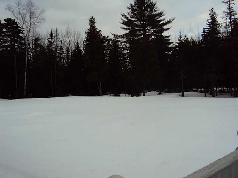 465 Church Road Bangor, ME 04401 - Photo 4 of 30 Yard/Garden.