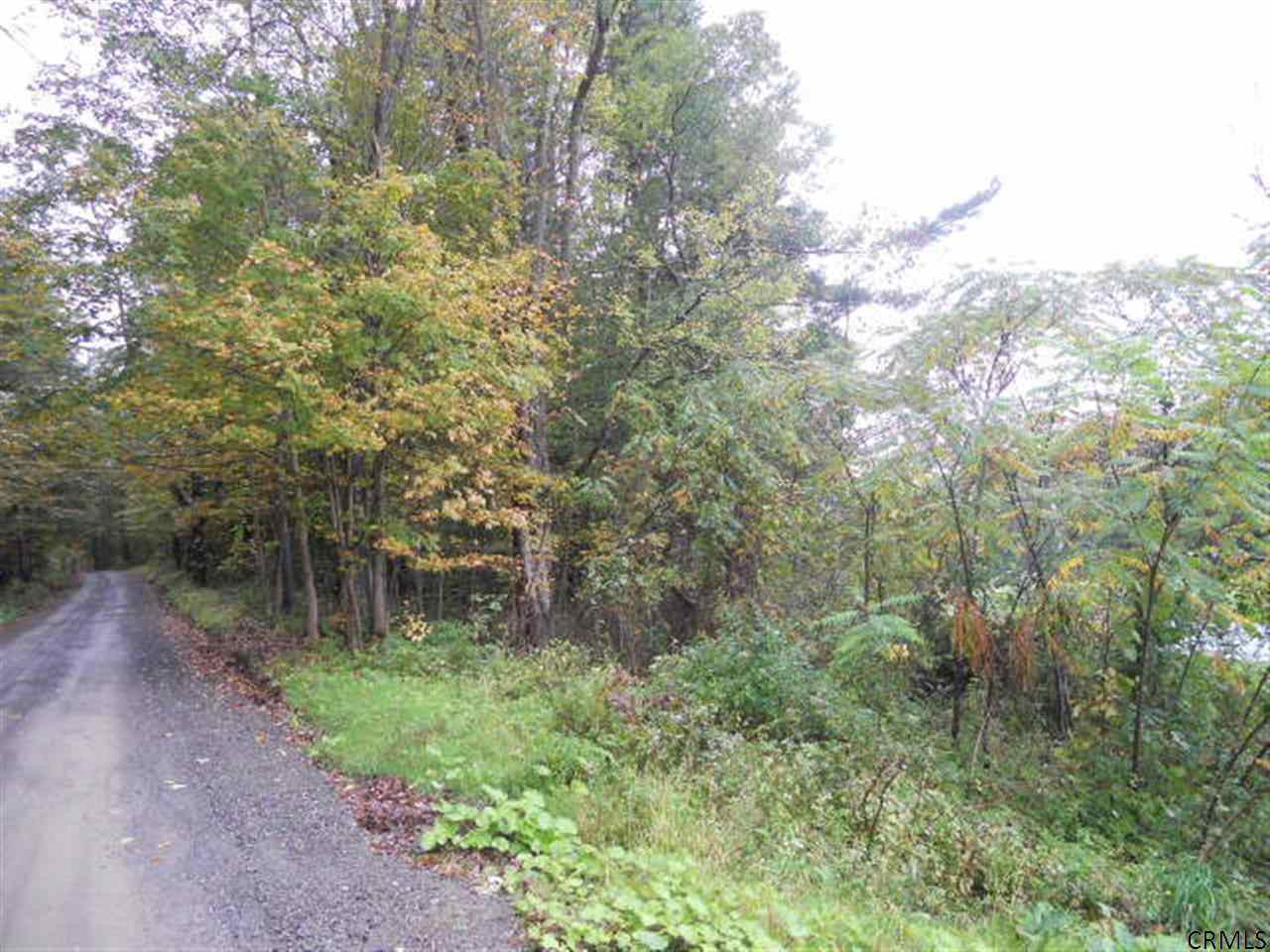 Clum Road Johnsonville, NY 12094 - Photo 1 of 3 Photo 1