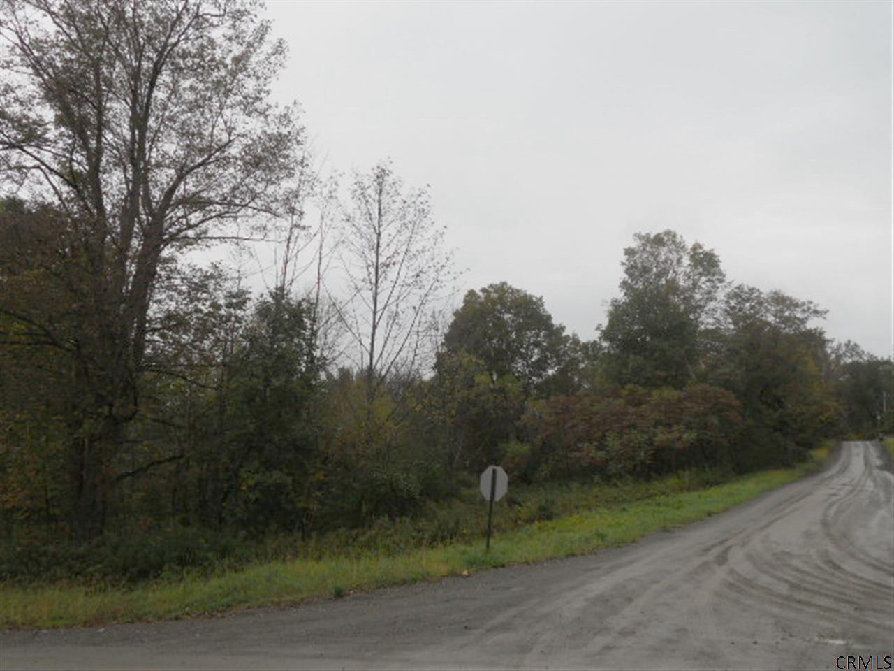 Clum Road Johnsonville, NY 12094 - Photo 2 of 3 Photo 2