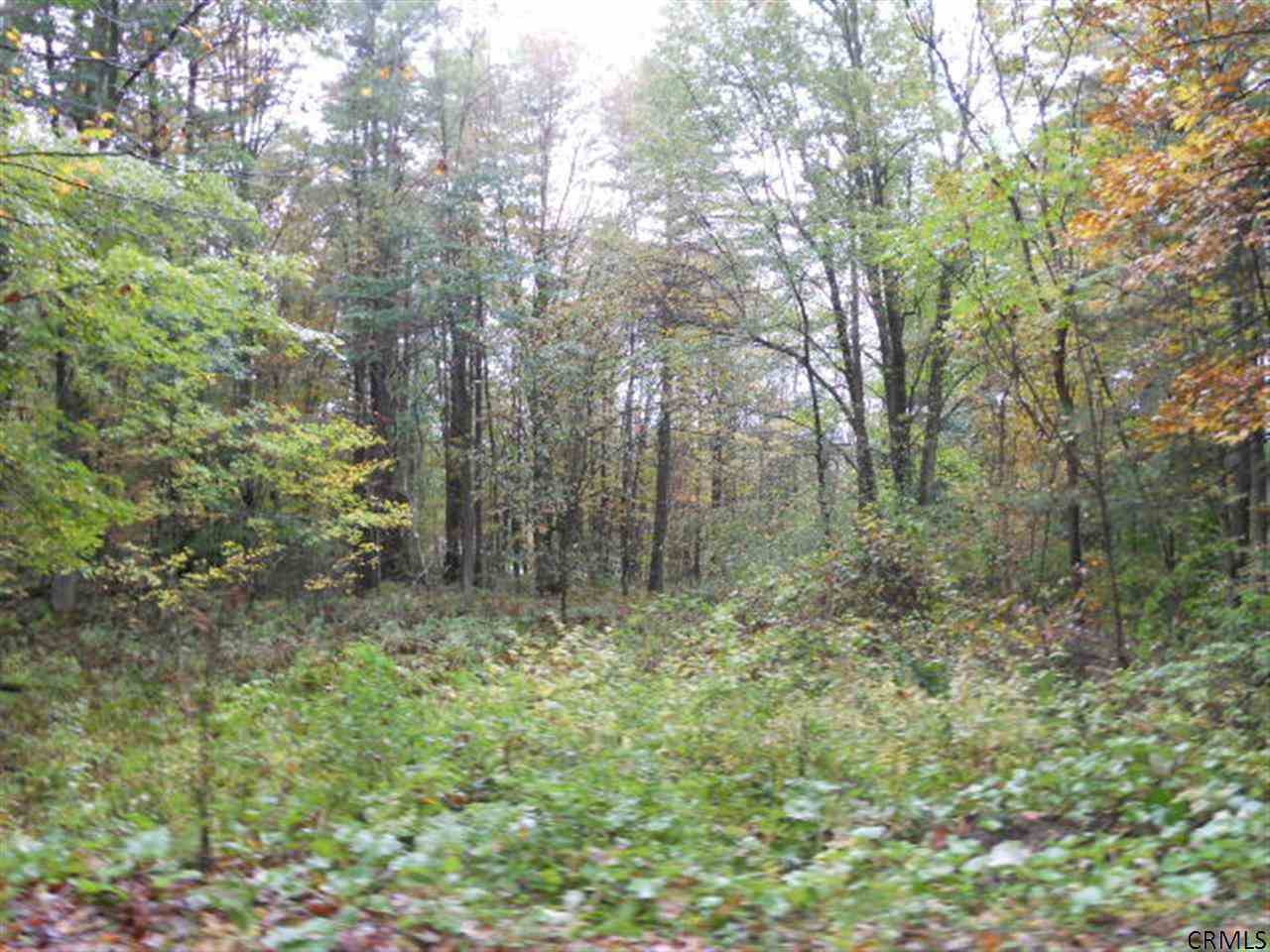 Clum Road Johnsonville, NY 12094 - Photo 3 of 3 Photo 3