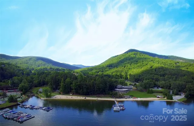 a view of a lake with a mountain in the background