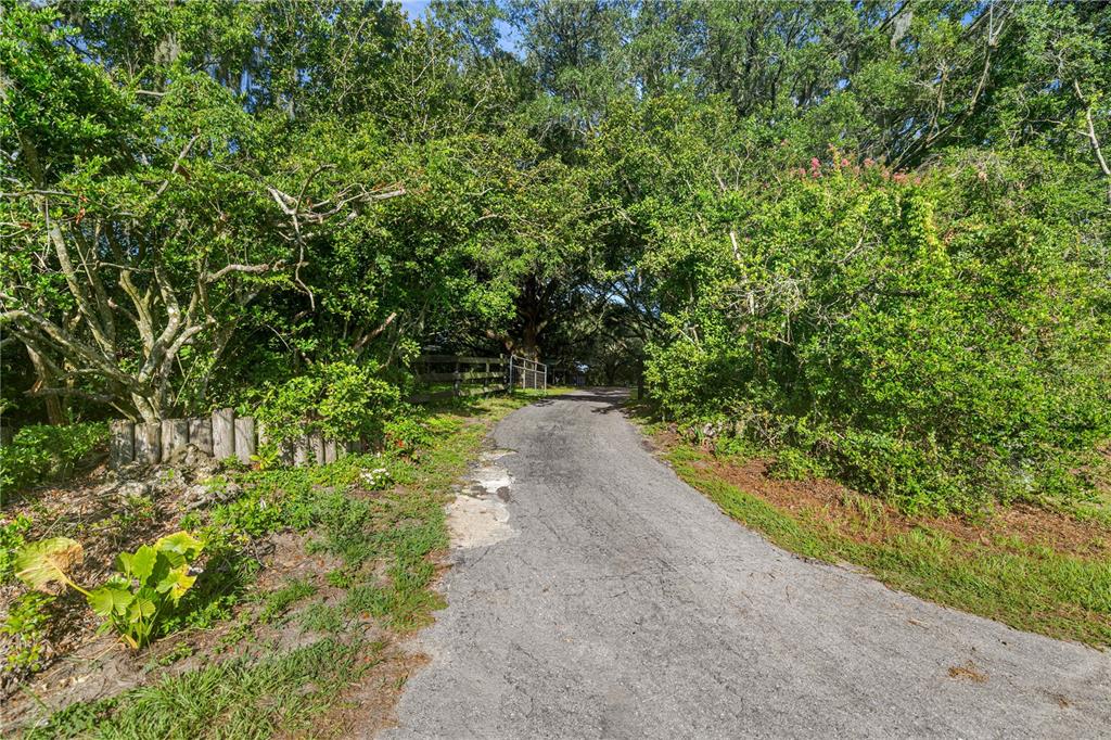 16250 Southwest 20th Avenue Road Ocala, FL 34473 - Photo 3 of 75