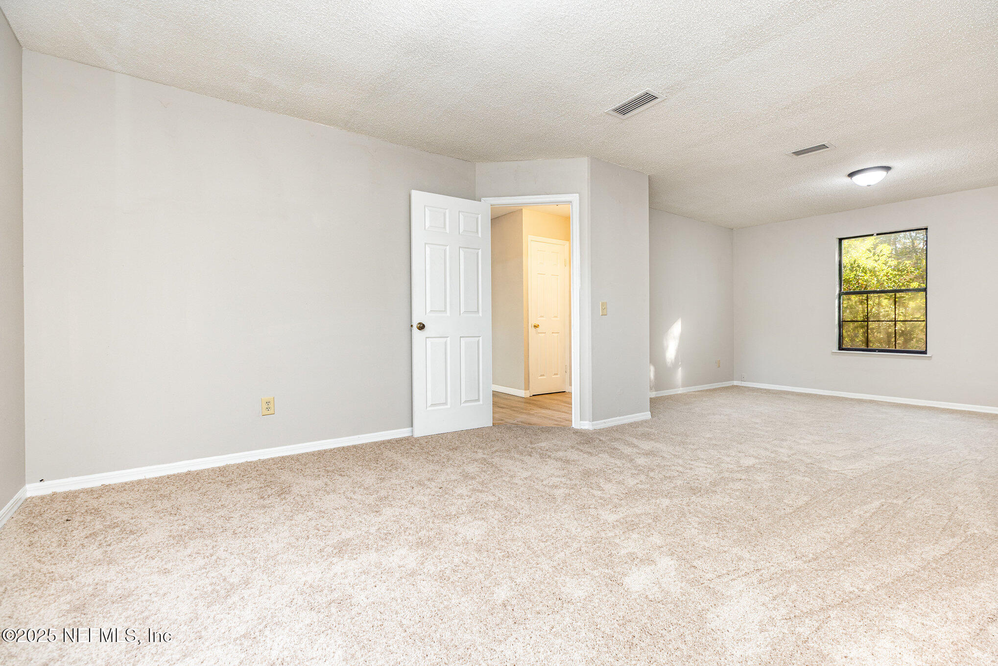 4341 Chokeberry Road Middleburg, FL 32068 - Photo 28 of 38 an empty room with windows and closet