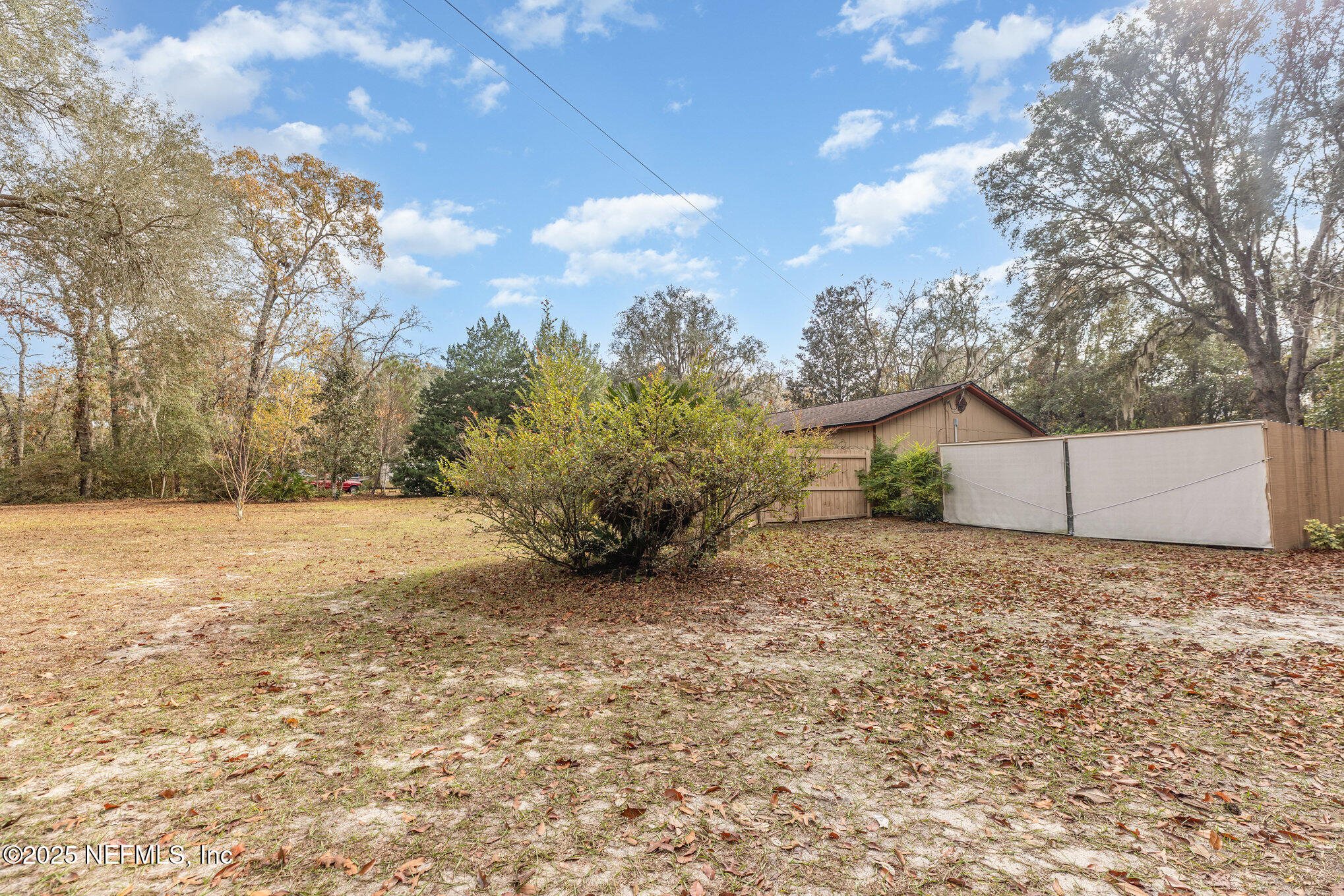 4341 Chokeberry Road Middleburg, FL 32068 - Photo 35 of 38 a view of a outdoor space with trees