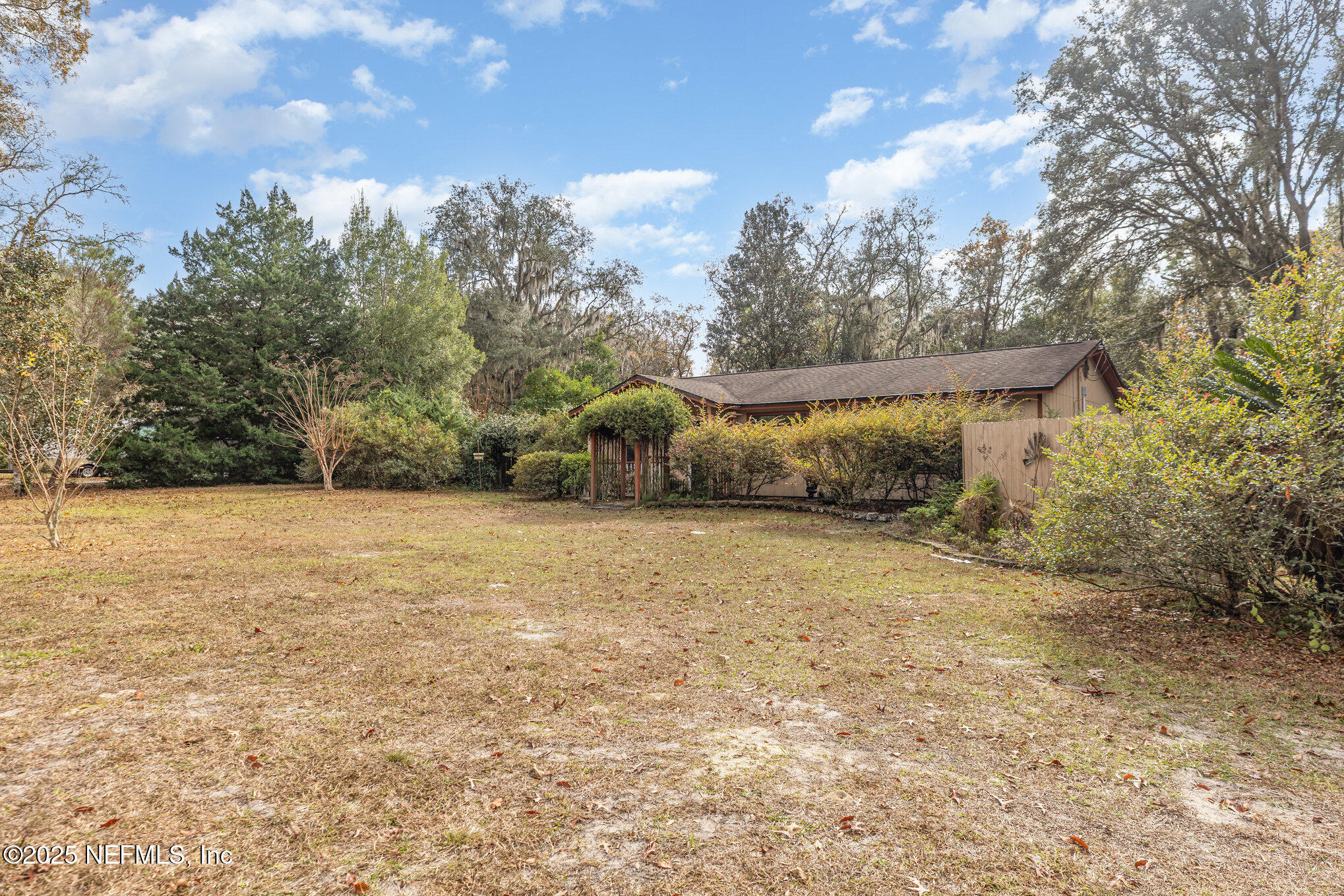 4341 Chokeberry Road Middleburg, FL 32068 - Photo 36 of 38 a view of a yard