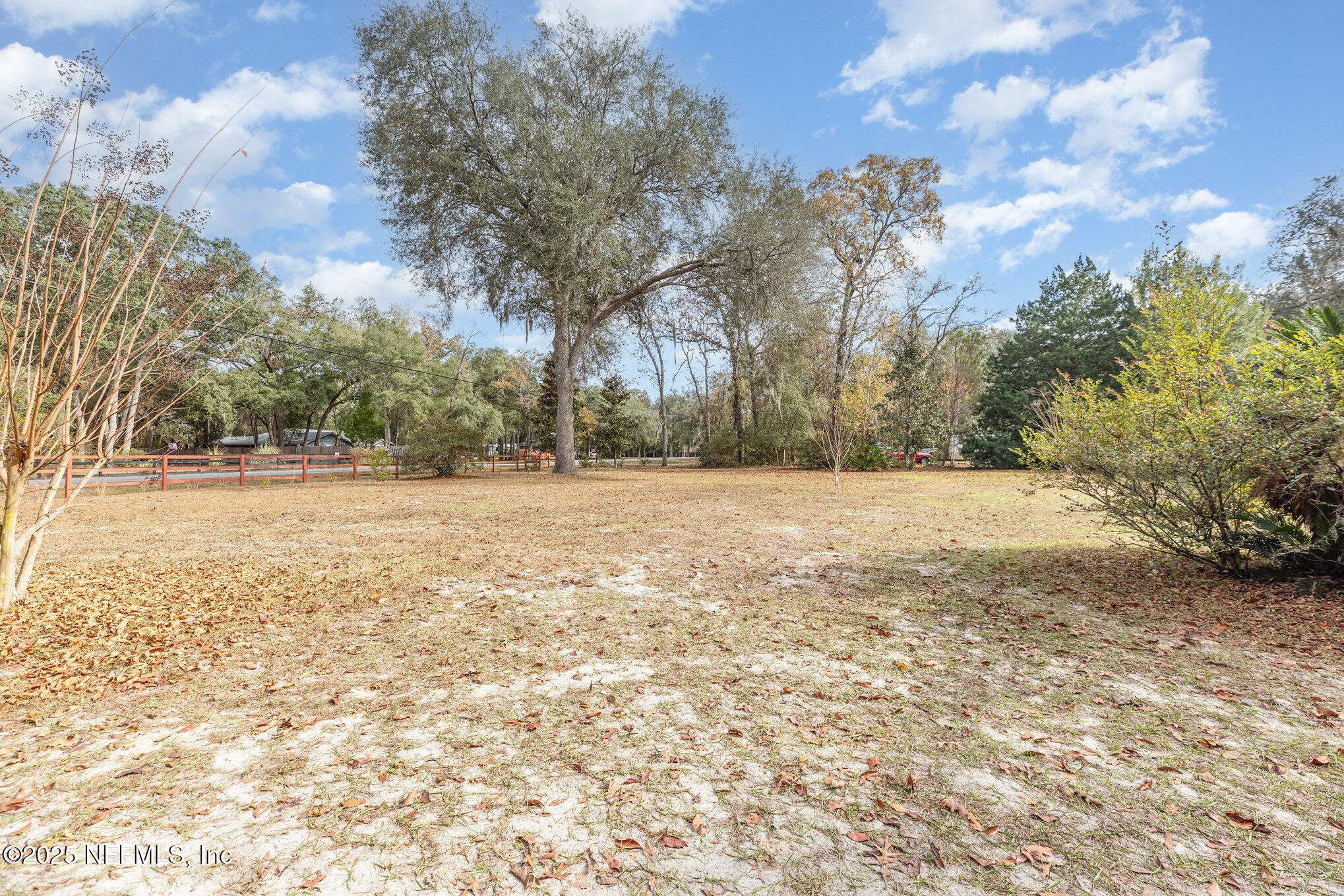 4341 Chokeberry Road Middleburg, FL 32068 - Photo 37 of 38 a view of outdoor space with trees all around