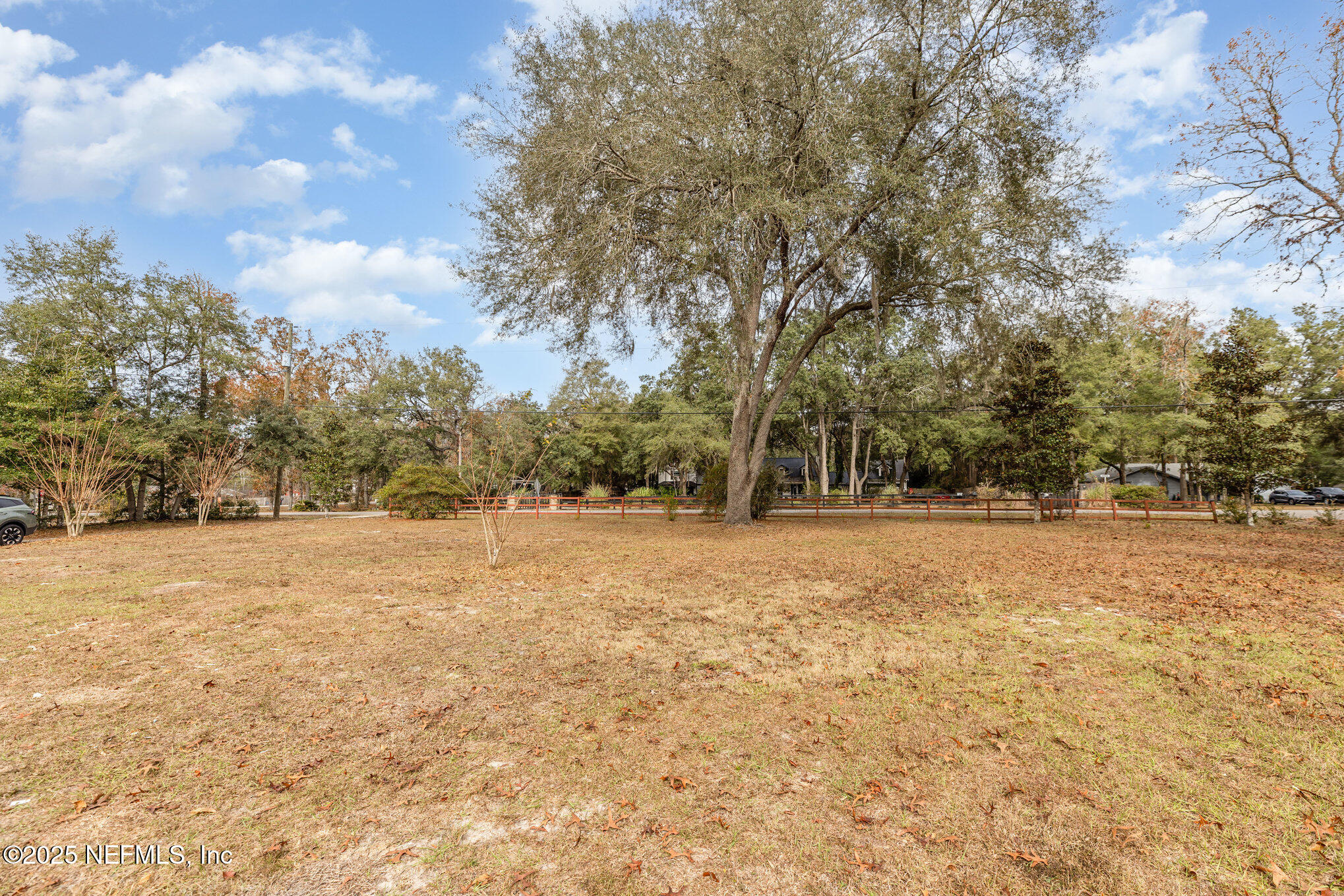 4341 Chokeberry Road Middleburg, FL 32068 - Photo 38 of 38 a view of yard with trees