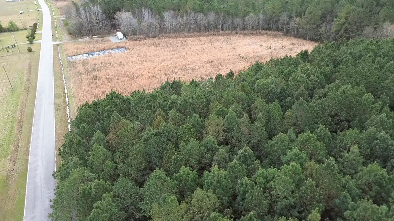 2.11-acres Boggy Branch Road Nichols, SC 29581 - Photo 5 of 6