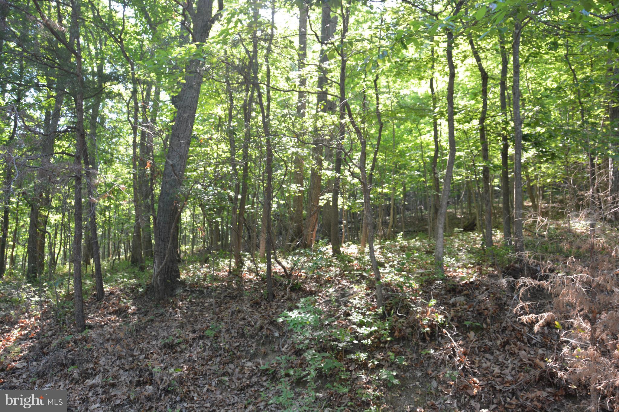 59 60 61 Baldwin Road Front Royal, VA 22630 - Photo 1 of 23 Apple Mt WEST Subdivision