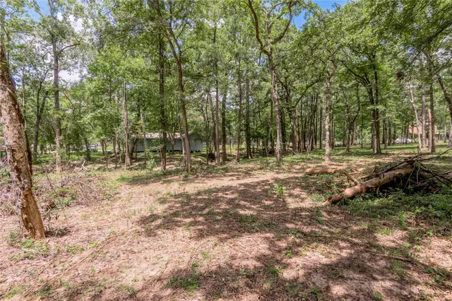 $1,000 | 7 A Hickory Lane, Huntsville, TX 77340