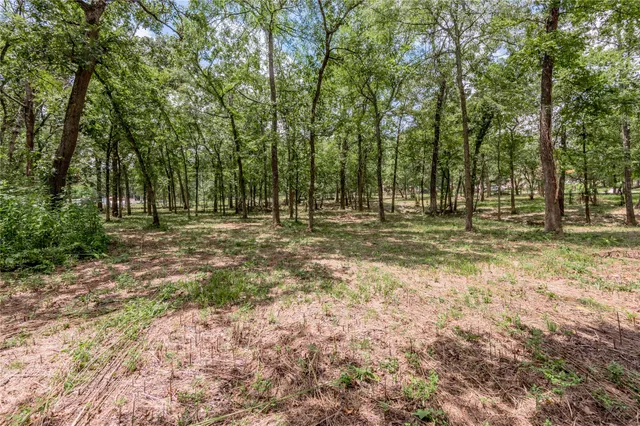 $1,000 | 7 A Hickory Lane, Huntsville, TX 77340