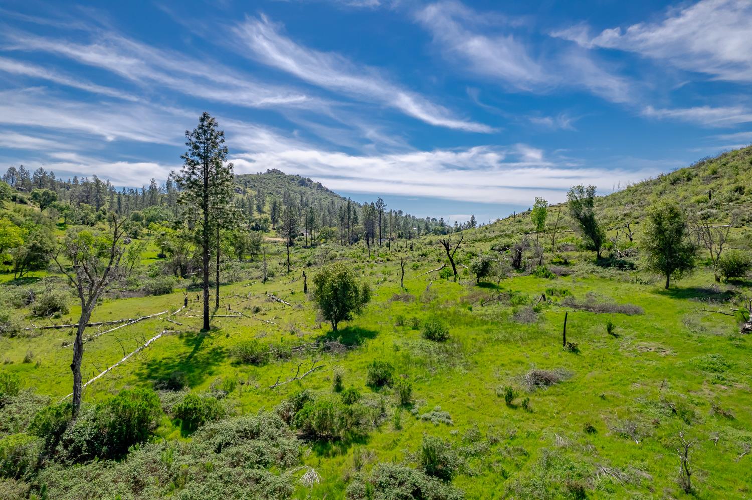 11923 Loma Rica Road Marysville, CA 95901 - Photo 13 of 35 Gallery Image 13