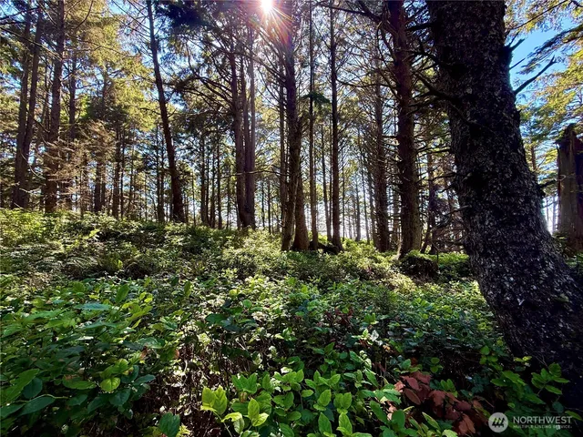 $785,000 | 57 Koala Lane, Pacific Beach, WA 98571