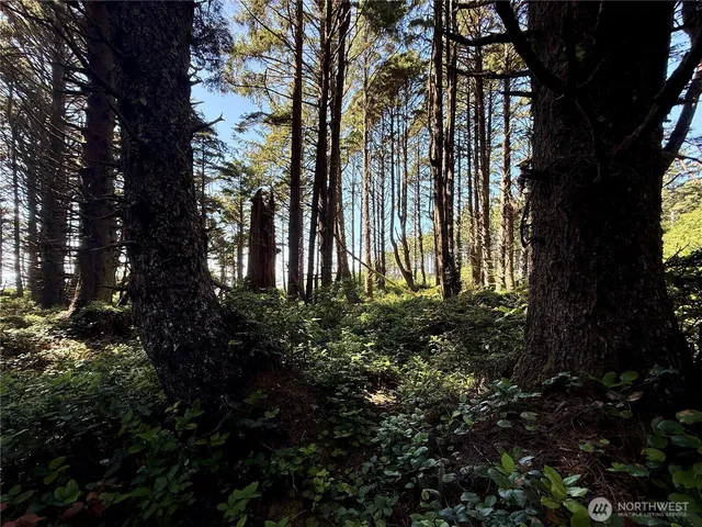 $785,000 | 57 Koala Lane, Pacific Beach, WA 98571