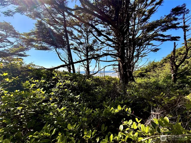 $785,000 | 57 Koala Lane, Pacific Beach, WA 98571