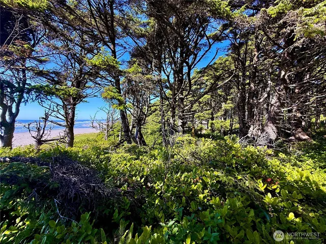 $785,000 | 57 Koala Lane, Pacific Beach, WA 98571