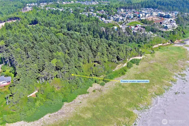 $785,000 | 57 Koala Lane, Pacific Beach, WA 98571