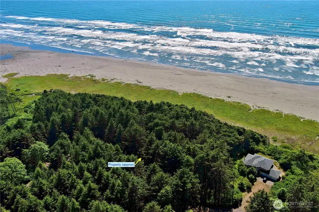 $785,000 | 57 Koala Lane, Pacific Beach, WA 98571