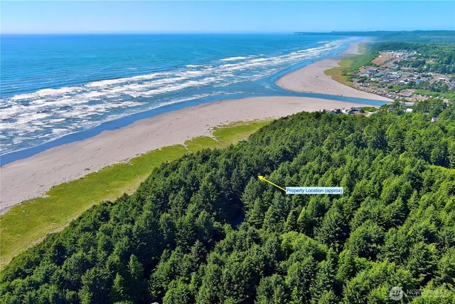 $785,000 | 57 Koala Lane, Pacific Beach, WA 98571