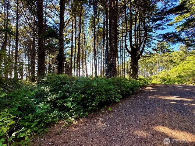 $785,000 | 57 Koala Lane, Pacific Beach, WA 98571