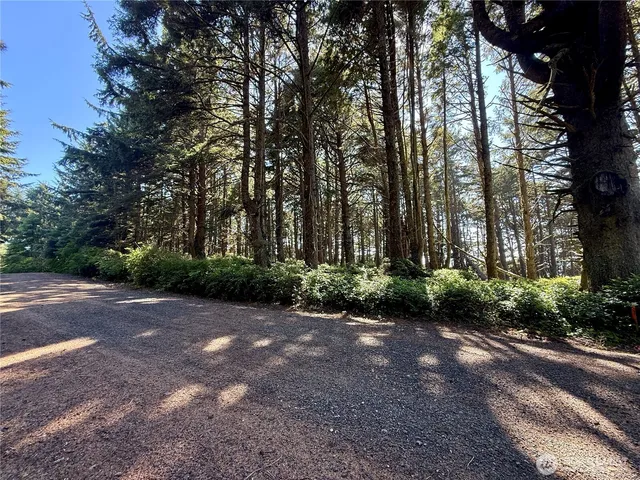 $785,000 | 57 Koala Lane, Pacific Beach, WA 98571