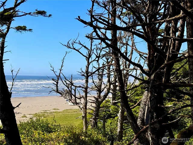 $785,000 | 57 Koala Lane, Pacific Beach, WA 98571