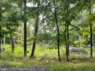 $19,900 | 113 Falcon Crest, Greentown, PA 18426