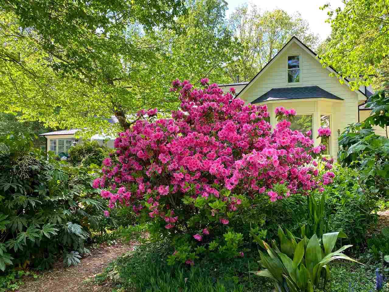 5109 Salem Ridge Road Holly Springs, NC 27540 - Photo 25 of 30 Easy care perennials and shrubs are found throughout the property. Easy care shrubs