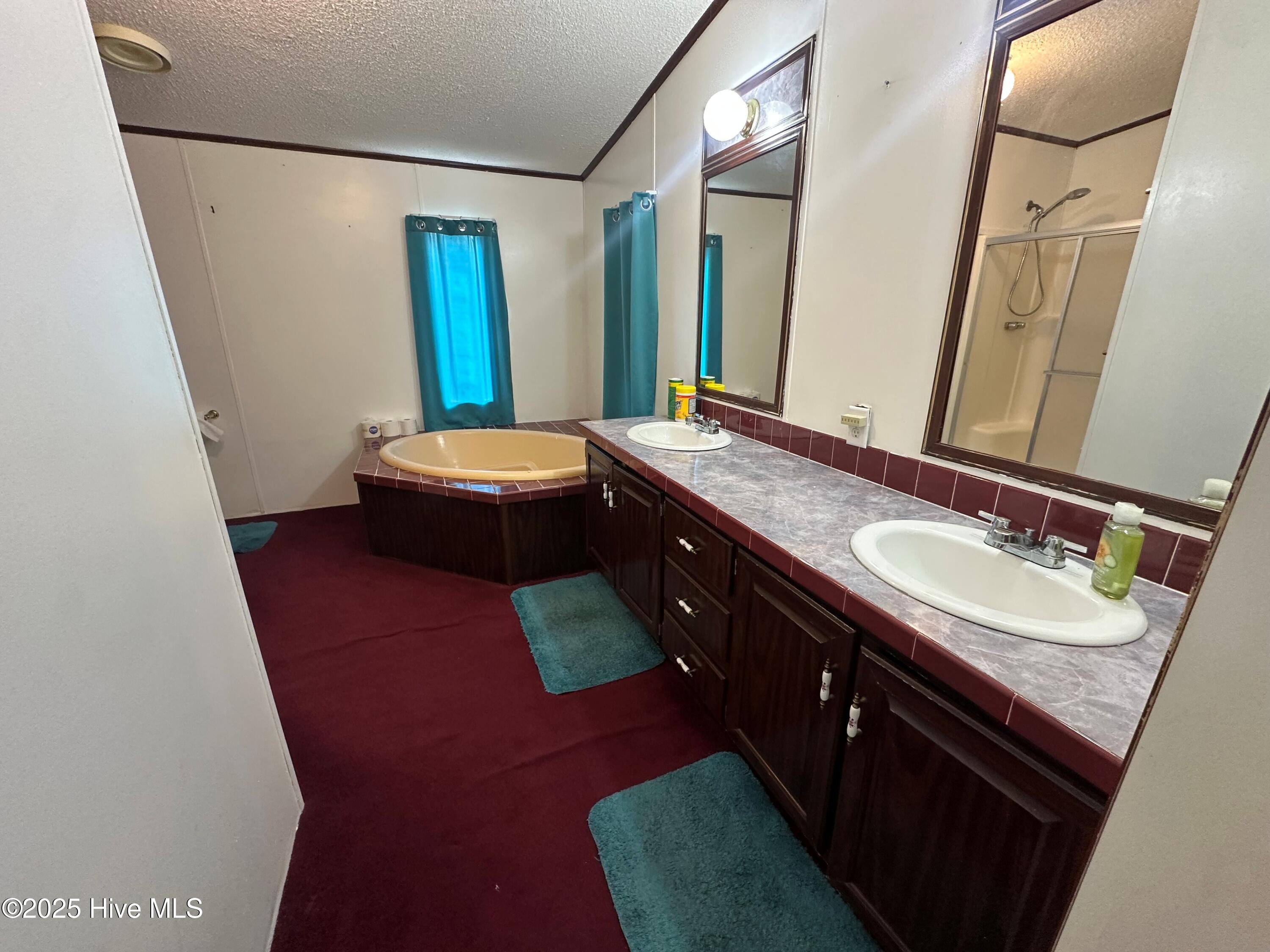 123 Moore Town Road Ahoskie, NC 27910 - Photo 18 of 25 Bathroom 2