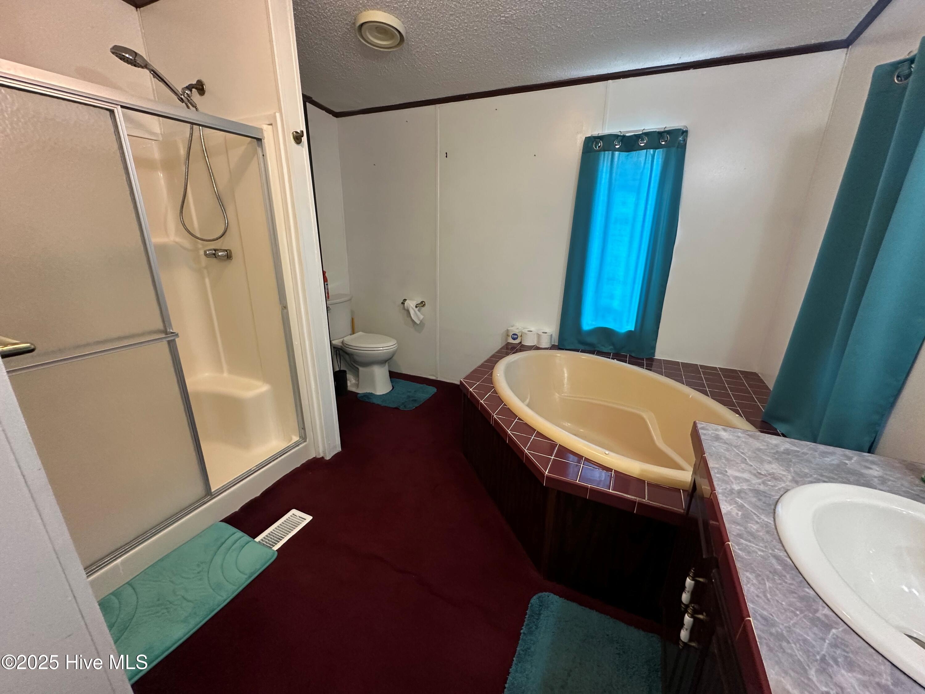 123 Moore Town Road Ahoskie, NC 27910 - Photo 19 of 25 Bathroom 2 (2)