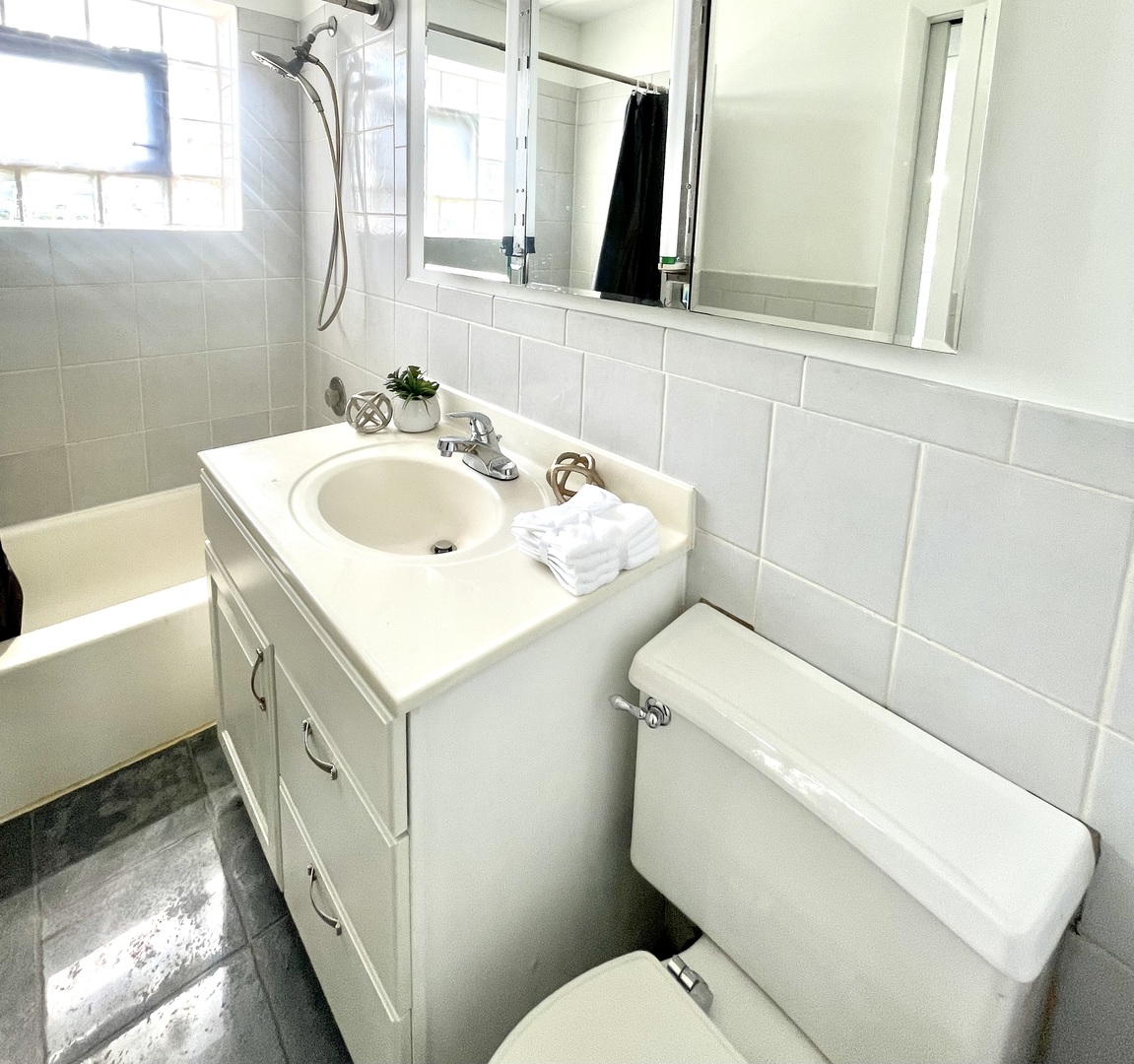 2610 Oakton Street, Unit 9W Park Ridge, IL 60068 - Photo 11 of 14 a bathroom with a sink toilet and mirror